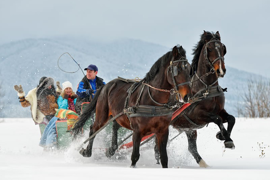 Hotel Vitaler Landauerhof Schladming|Aktivitäten